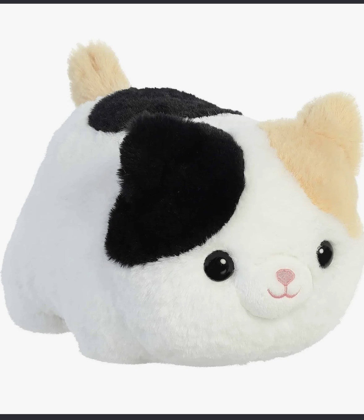 Kitty Spudster